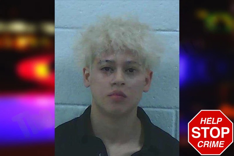 Sue Rodrigues-Morales Mugshots