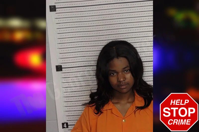 Suhaila Ash Mugshots