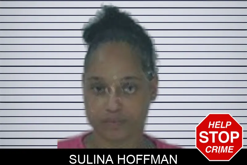 Sulina Hoffman Mugshots