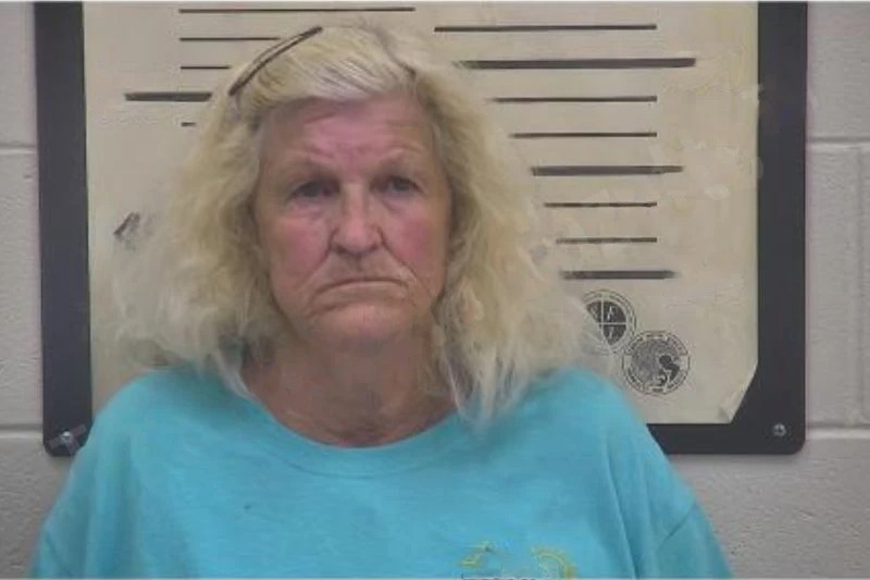 Susan Anderson Mugshots