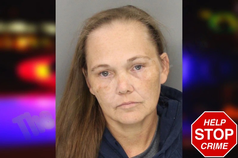 Susan Green mugshot – Cobb County , Georgia Susan Green mugshot