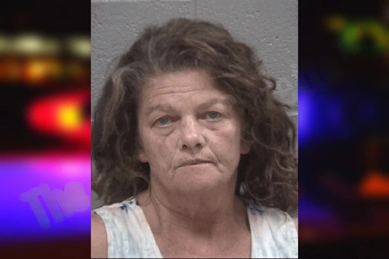 Susan Layton Mugshots