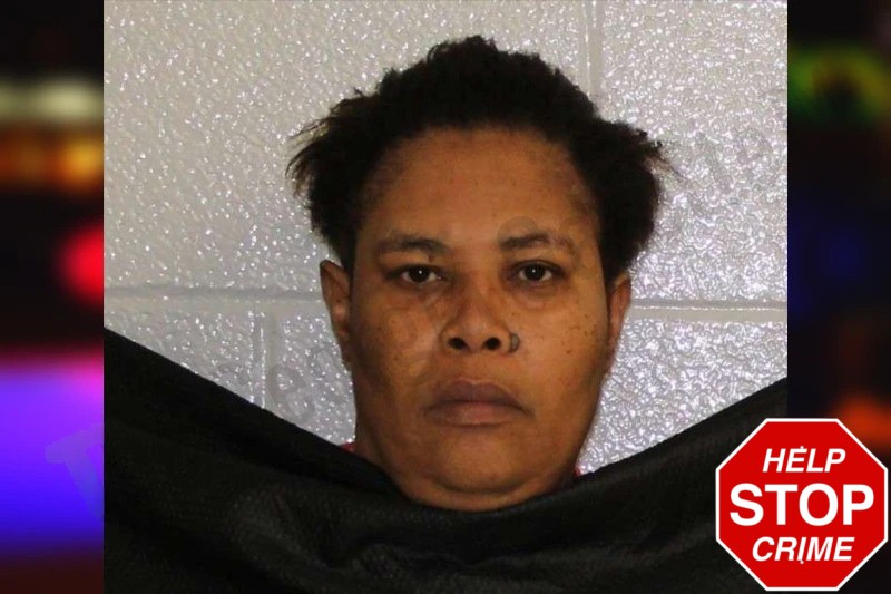 Susan Louis Mugshots