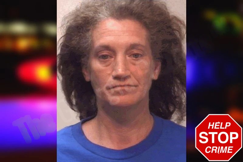 Susan Shelnutt mugshot – Coweta County , Georgia Susan Shelnutt mugshot