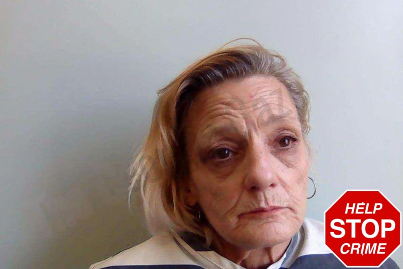 Susan Waters Mugshots