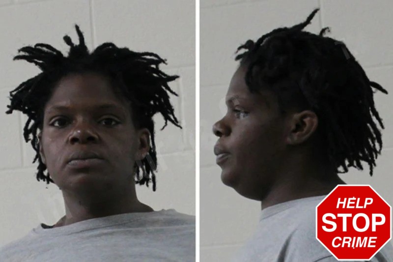 Sylvia English mugshot – Houston County , Georgia Sylvia English mugshot