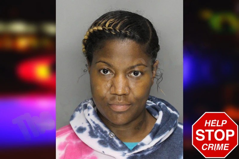 Sylvia McLean Mugshots