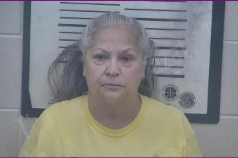 Sylvia Roman Mugshots