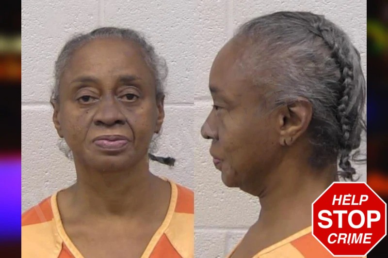 Sylvia Washington Mugshots