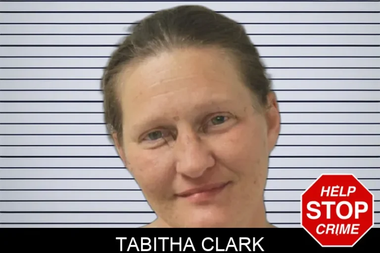 Tabitha Clark mugshot – Toombs County , Georgia Tabitha Clark