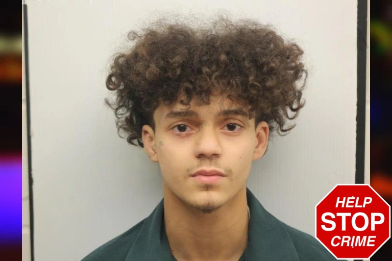 Taelyn Davis Mugshots