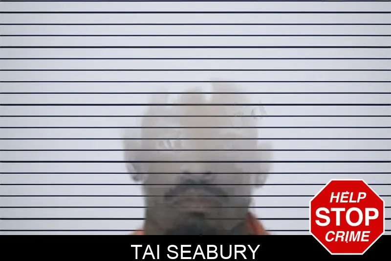 Tai Seabury Mugshots