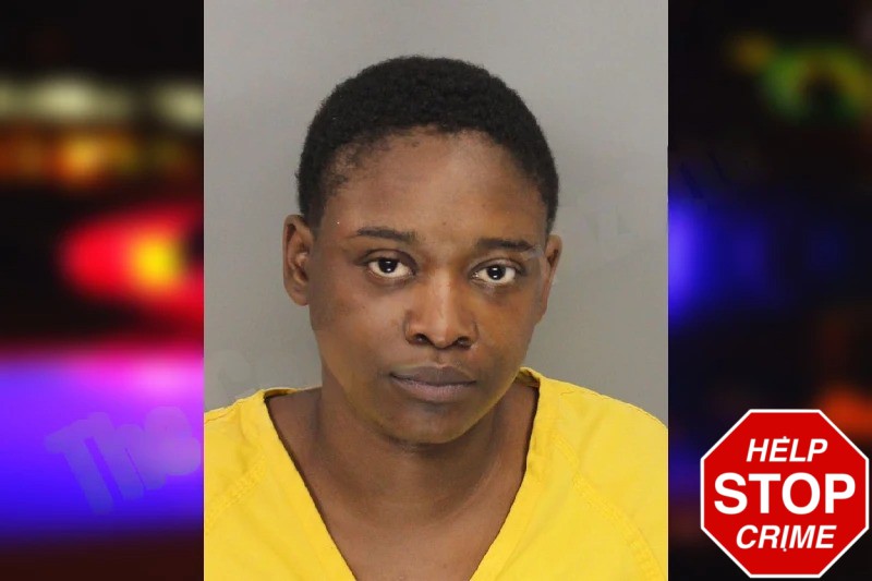 Tamara Diggs mugshot