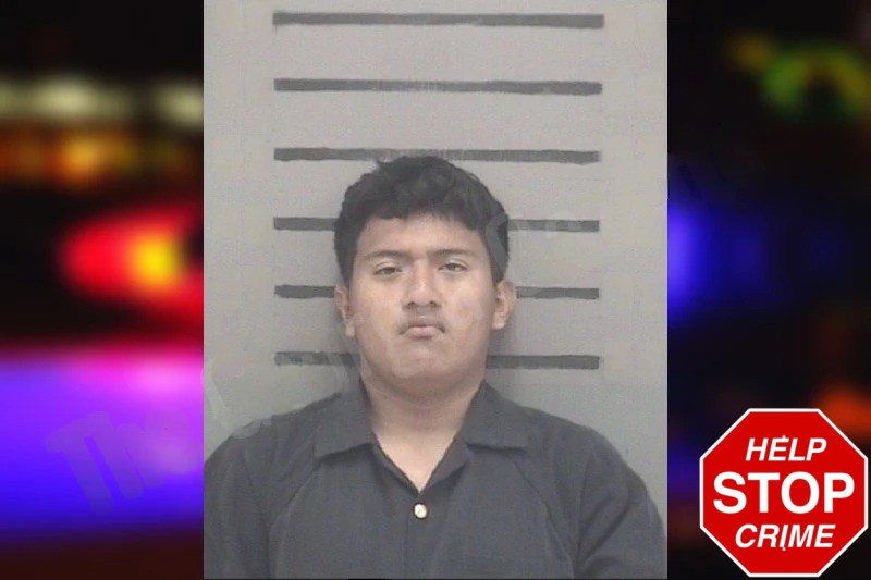 Tambriz Brigido Mugshots