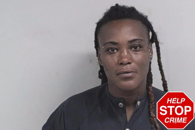 Tameeka Roseborough mugshot – Lowndes County , Georgia Tameeka Roseborough