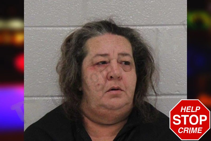Tammie Caldwell Mugshots