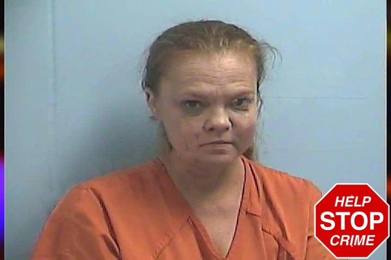 Tammie Schander Mugshots