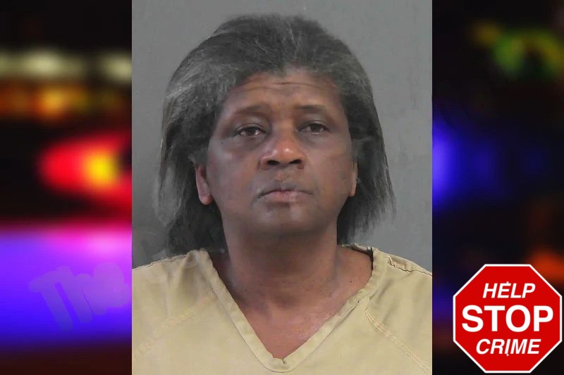 Tammie Simpson mugshot