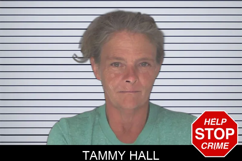 Tammy Hall Mugshots