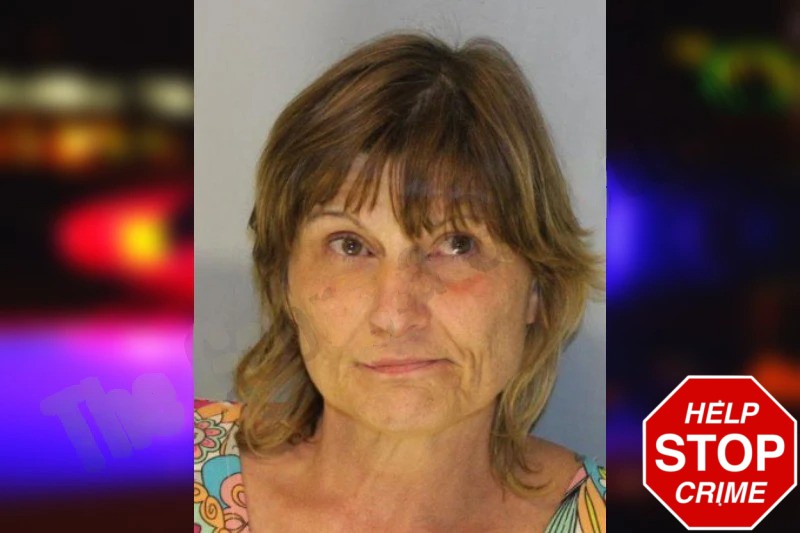 Tammy Hockman Mugshots