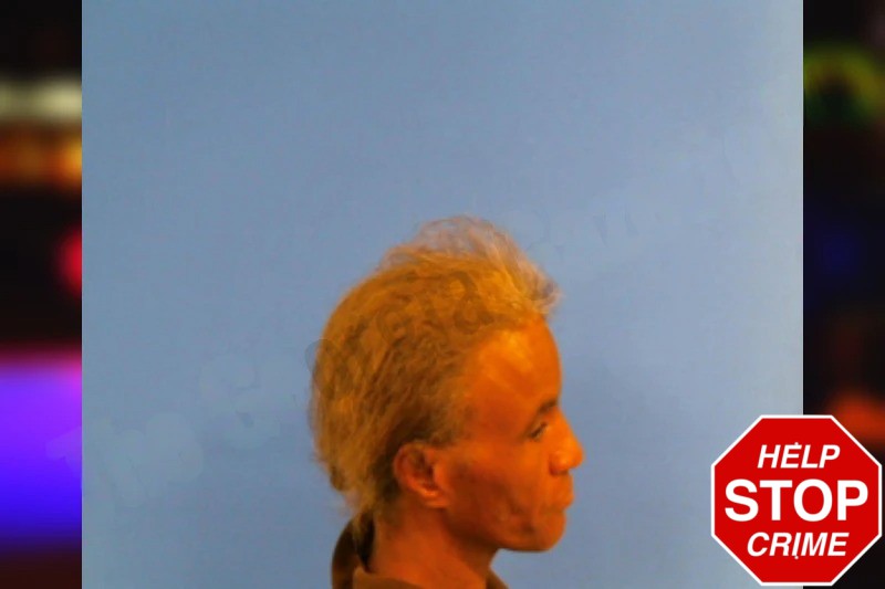 Tammy Lesley Mugshots