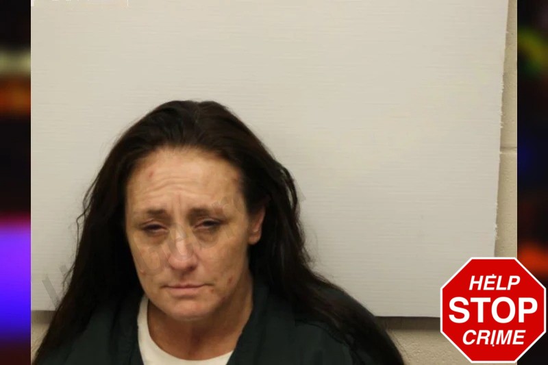 Tammy Lowery Mugshots