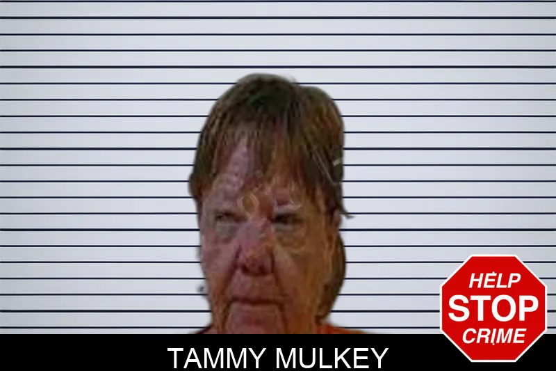 Tammy Mulkey Mugshots