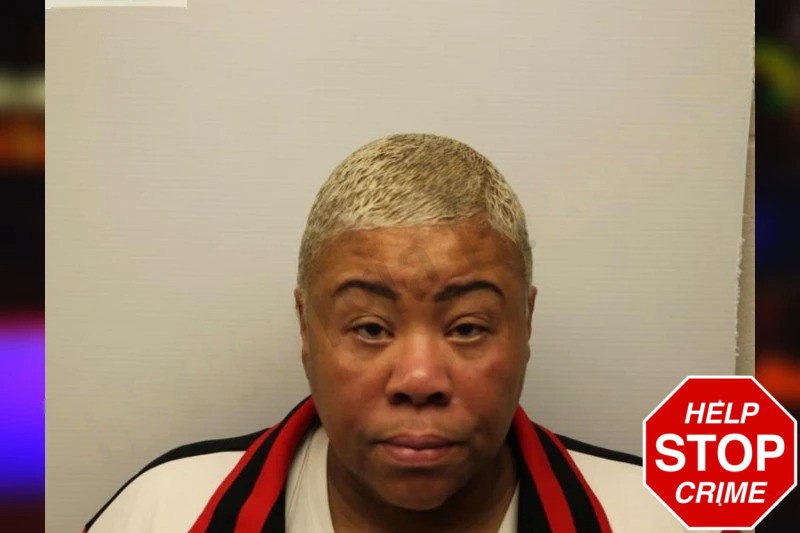 Tanis Hines Mugshots