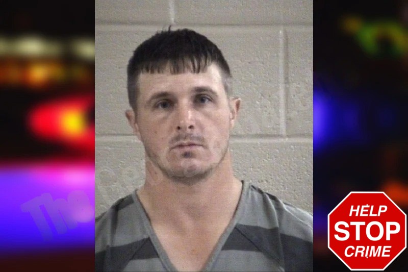 Tanner Phipps Mugshots