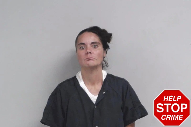 Tanya Henson Mugshots