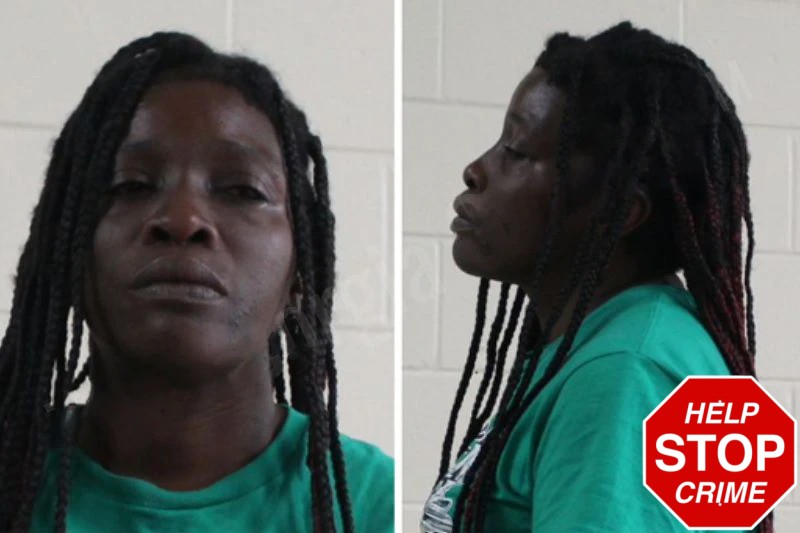 Tara Goins mugshot – Houston County , Georgia Tara Goins mugshot