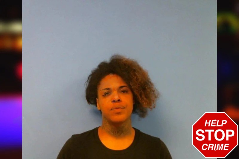 Tashawna Lovelace Mugshots