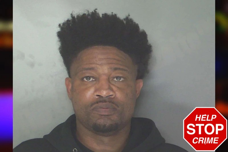 Tatum Ellison Mugshots