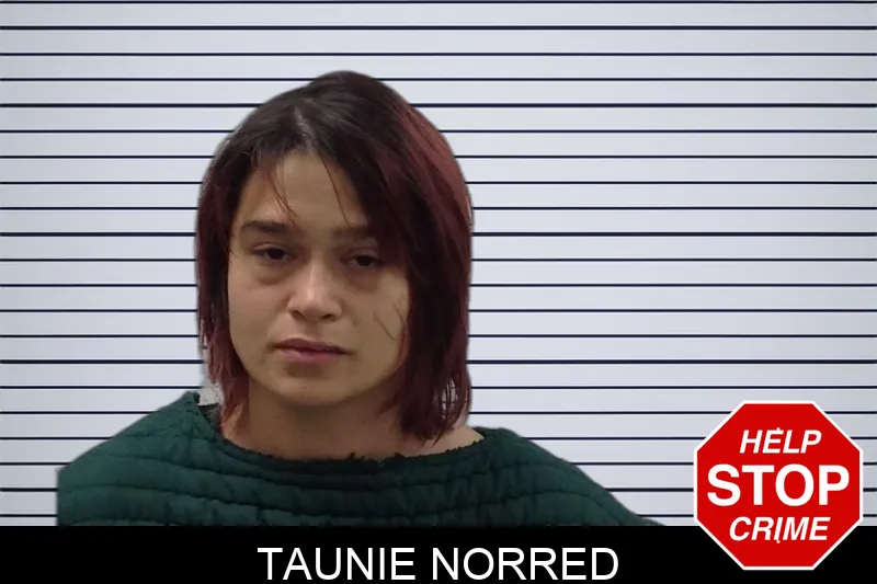 Taunie Norred Mugshots