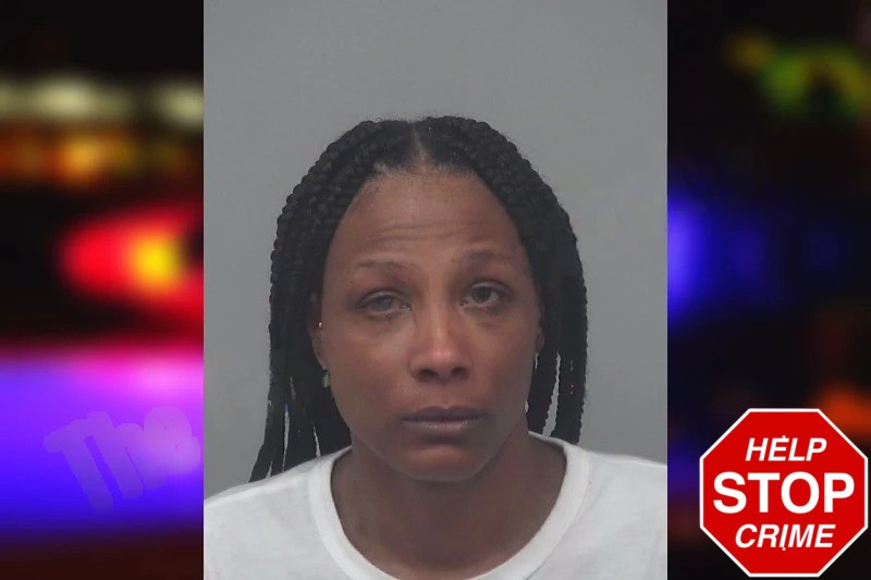 Tawanna Turner mugshot