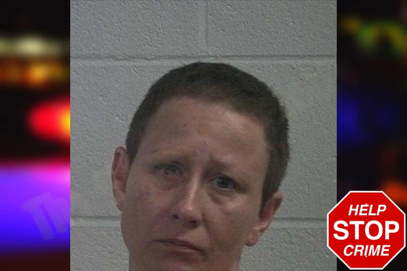 Tayler Johnson Mugshots