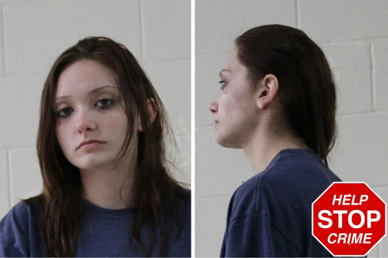 Taylor Bingham mugshot – Houston County , Georgia Taylor Bingham mugshot