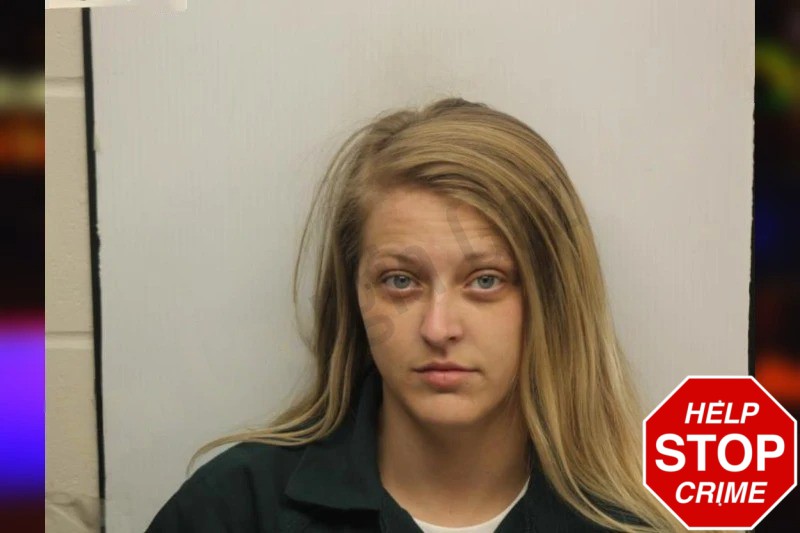Taylor Dampier Mugshots