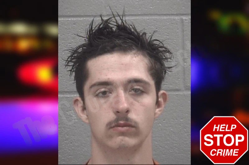 Taylor Elioff Mugshots