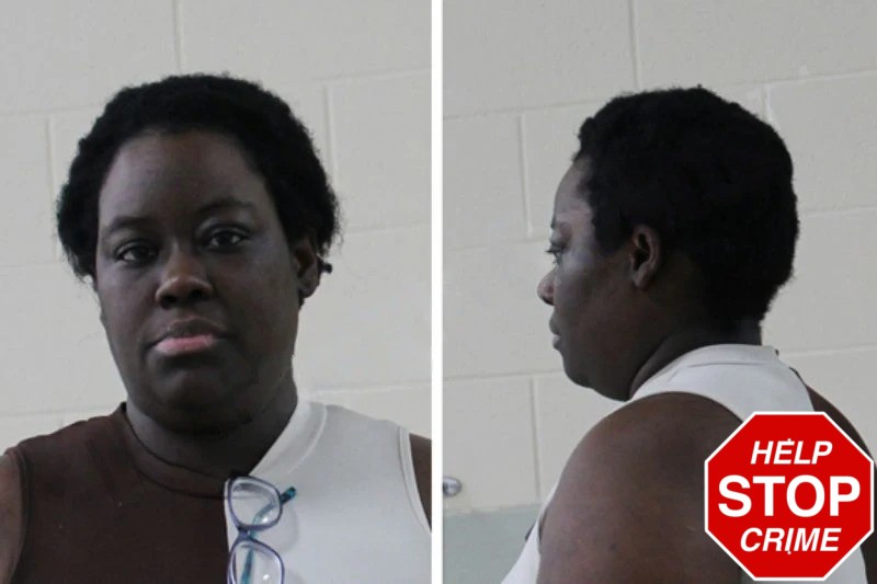 Taylor Evans Mugshots