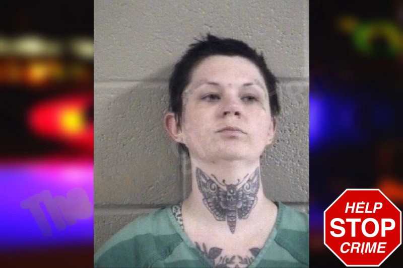 Taylor Guinn Mugshots