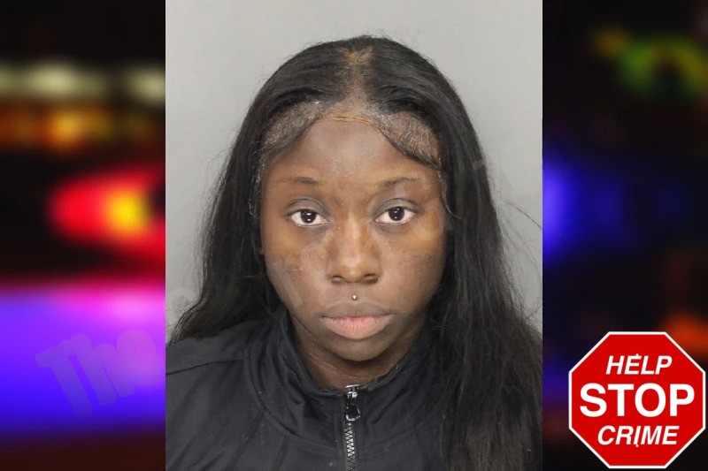 Taylor Hart mugshot – Cobb County , Georgia Taylor Hart mugshot