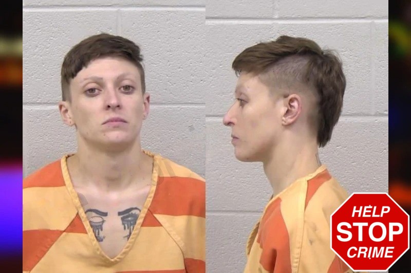 Taylor Howard Mugshots