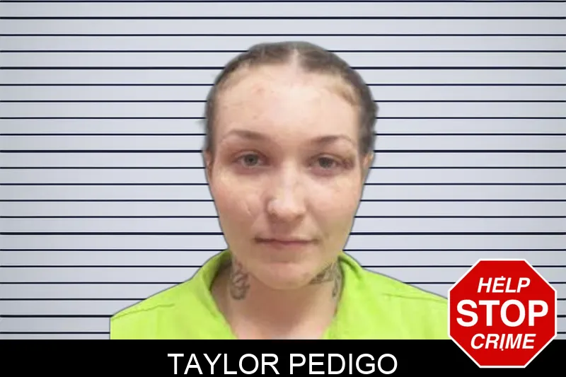 Taylor Pedigo Mugshots