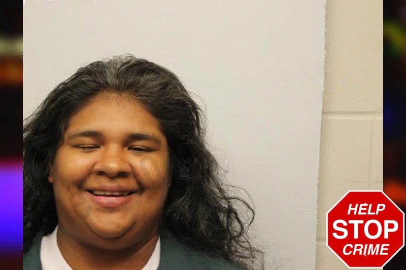 Temprance Wilson mugshot – Chatham County , Georgia Temprance Wilson mugshot