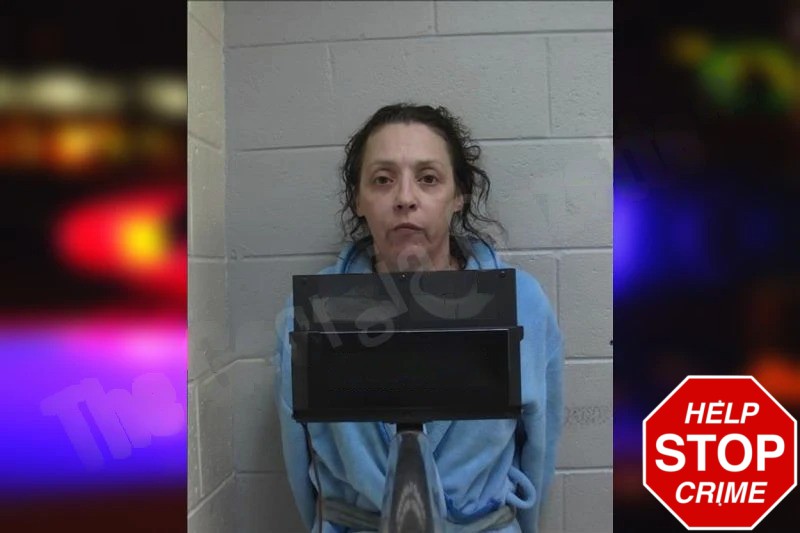 Teresa Davis Mugshots