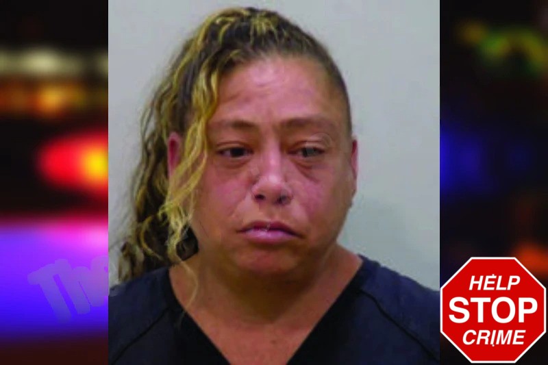 Teresa Toth Mugshots