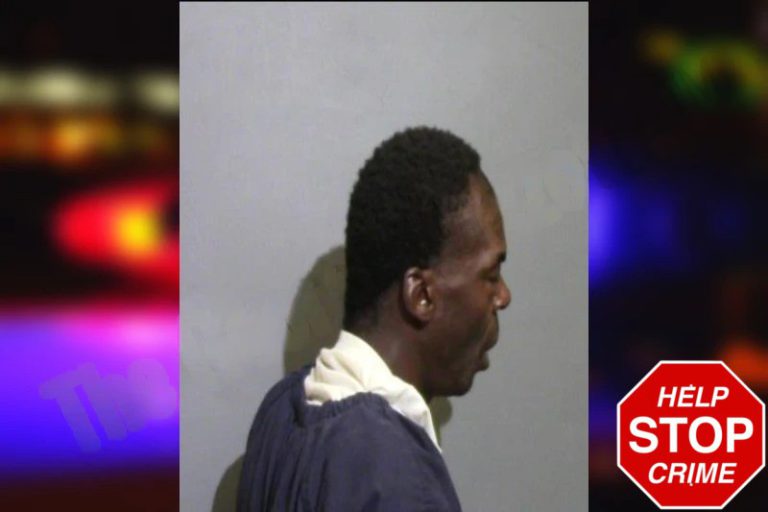 Terrence Bolds mugshot – Glynn County , Georgia Terrence Bolds