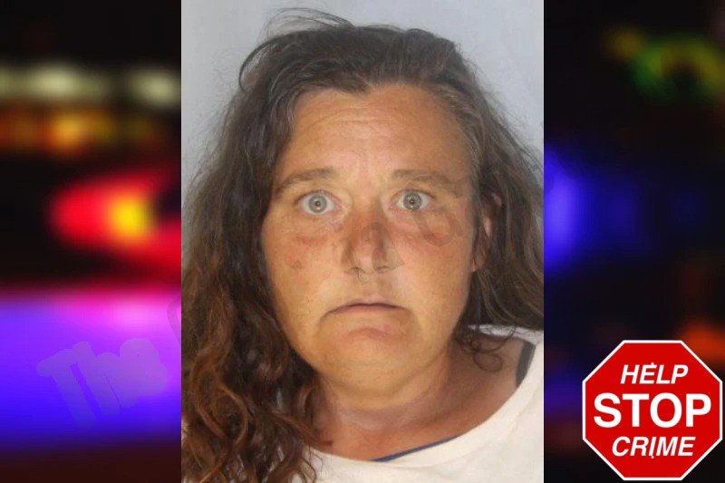 Terri Harris Mugshots