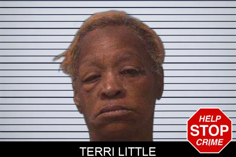 Terri Little mugshot – Franklin County , Georgia Terri Little